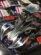 レイスティンガー