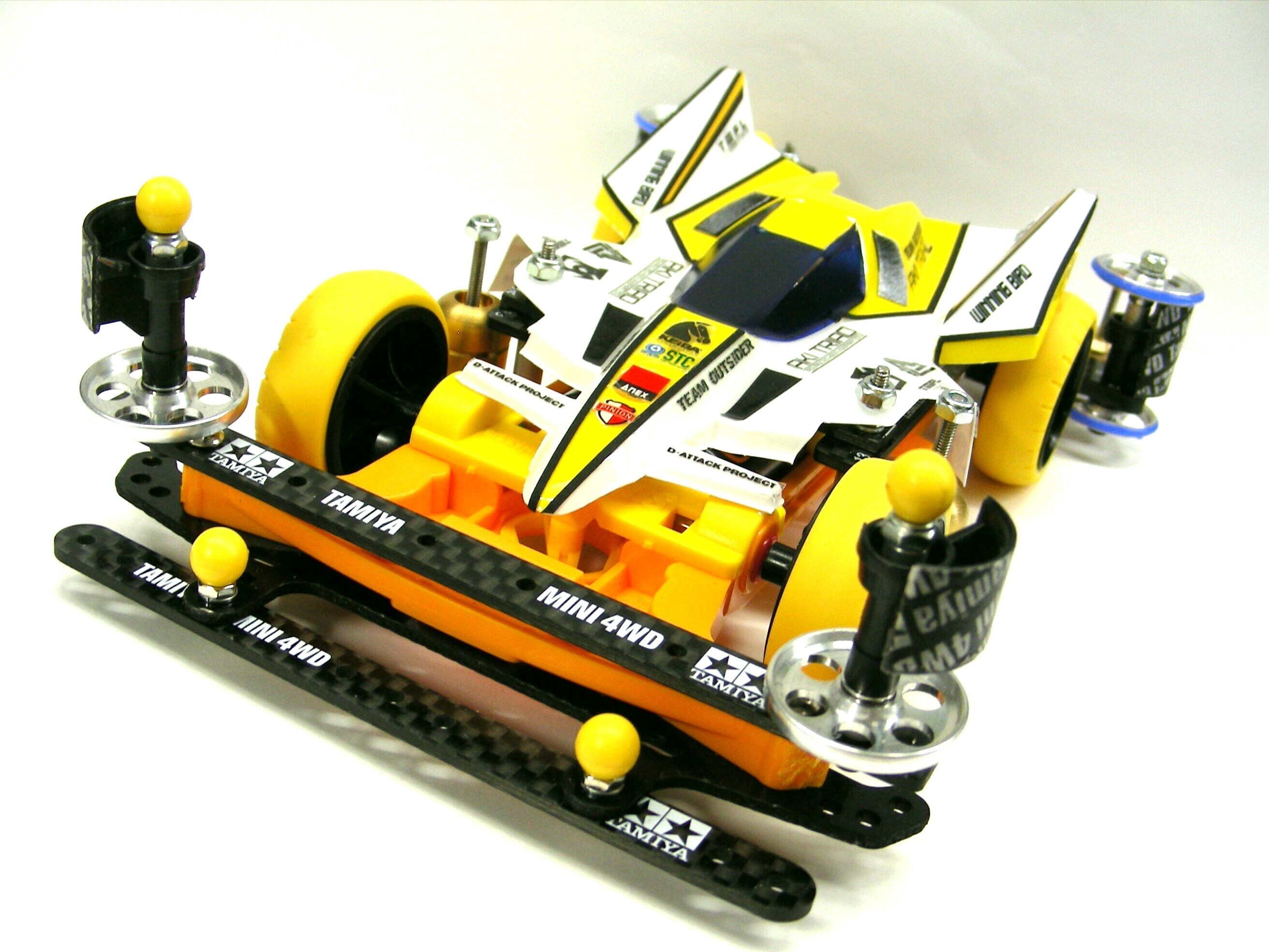 SG3 Yellow wagtail WBF TOS