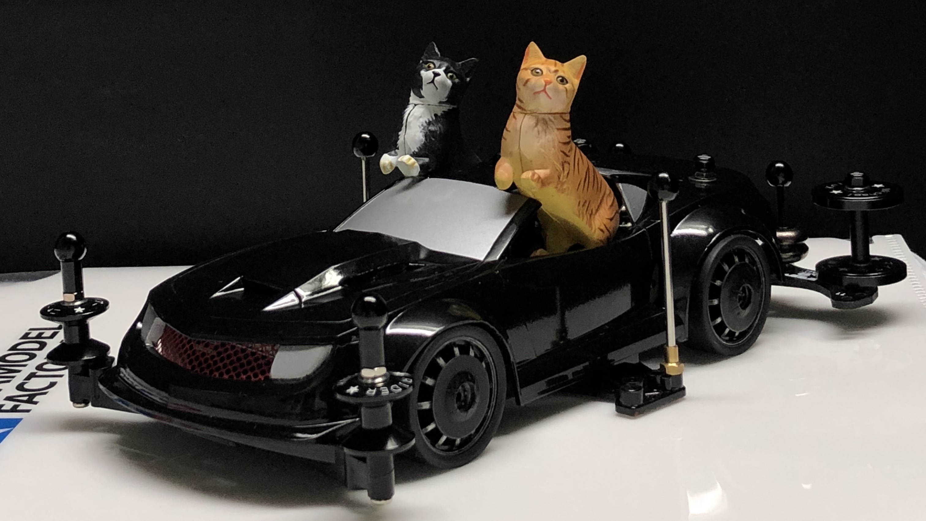 シャコタン・ラウディーブル★ニャートライダー