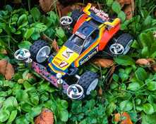 Hornet #mini4wdsport